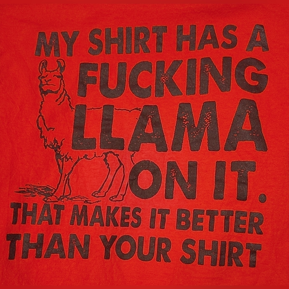 F*cking Llama Shirt 🦙 Comic Humour Graphic Tee  Spencer's Size Large